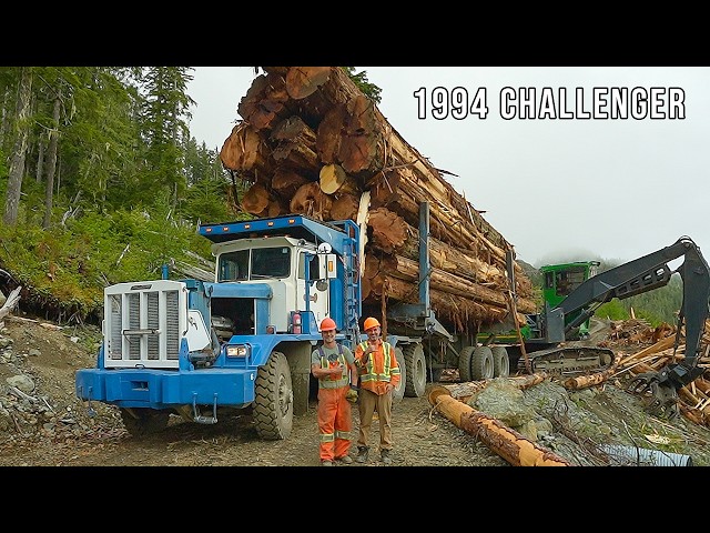 Extreme Logging Trucks 12  Challenger Preload 1994  Big Cedar Load