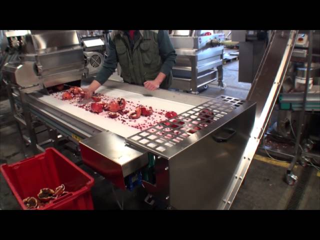 SRAML Pomegranate Juice Processing Line