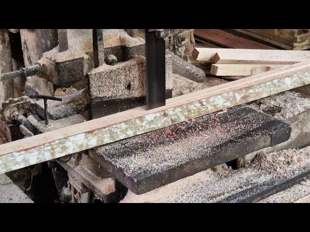 Giant Timber Sawmill Experience: From Raw Tree To Ready Wood