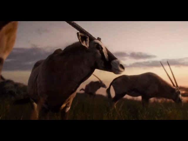The lion king official trailer by Sukh tech