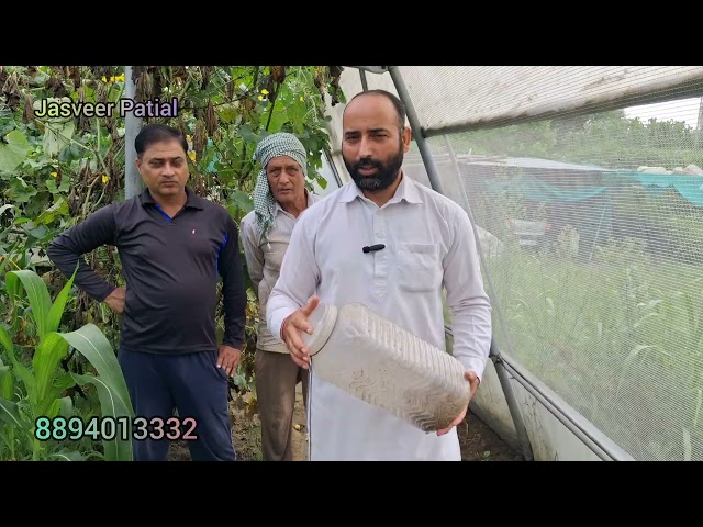 This dangerous snake is the living embodiment of death! #snake #video #viral #youtubeshorts #youtube