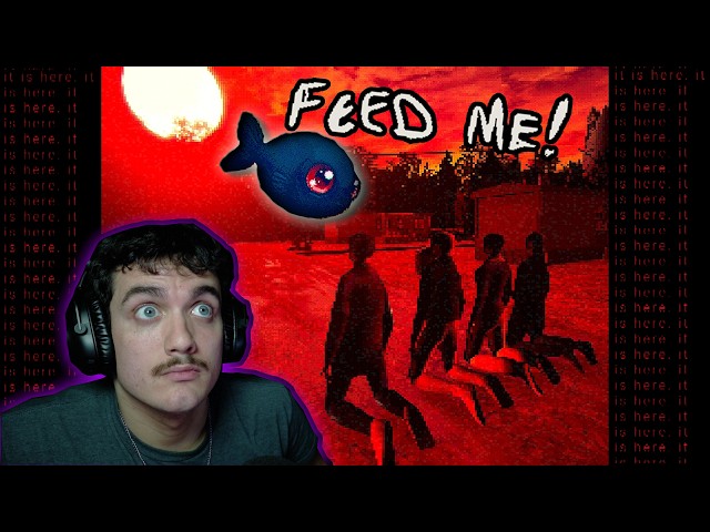 My Pet Fish Runs A Cult (And I'm A Member Now)