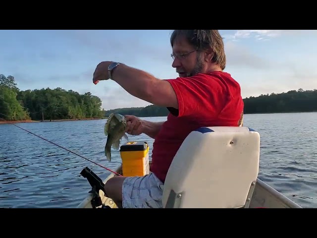 Bluegill Fishing #11 2026
