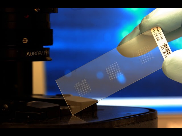 Biochip | Wikipedia audio article