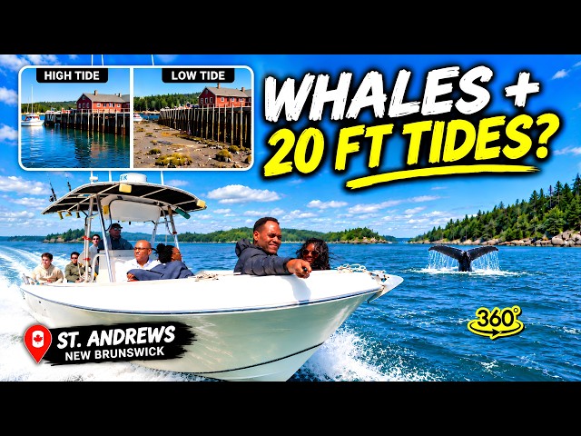St. Andrews by-the-Sea, New Brunswick | Whale Watching & 360° Drive