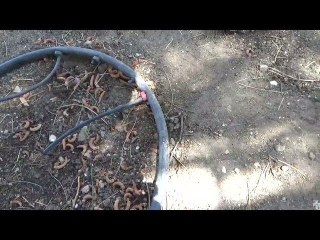 Landscape Tips for Dummies