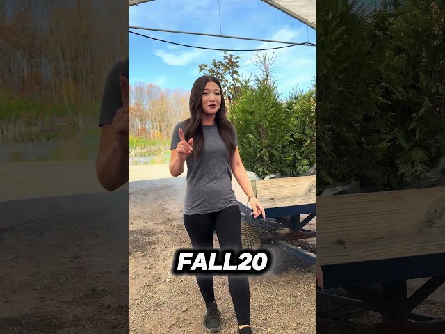 BIG Fall Sale Happening Now! Use Code FALL20 for 20% OFF Your Entire Order! #fall #trees #plants