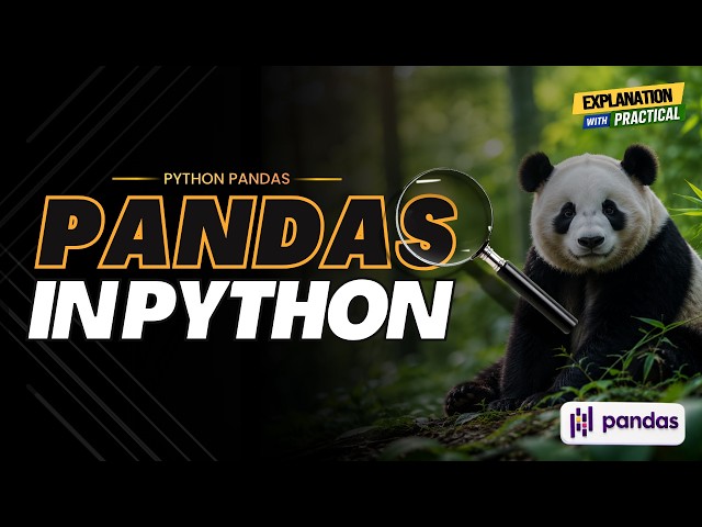 pandas in python