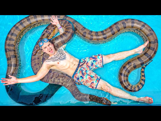 I Put a Giant Green Anaconda in Pool To Swim With!