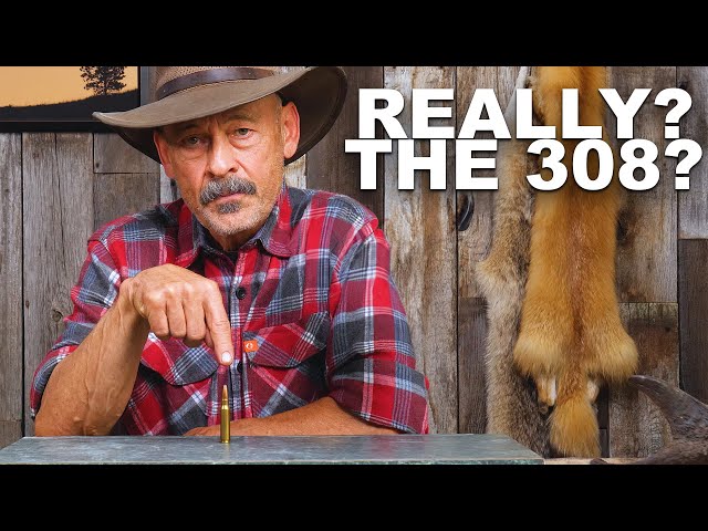 Is The 308 Win REALLY The Most Popular Cartridge in America?