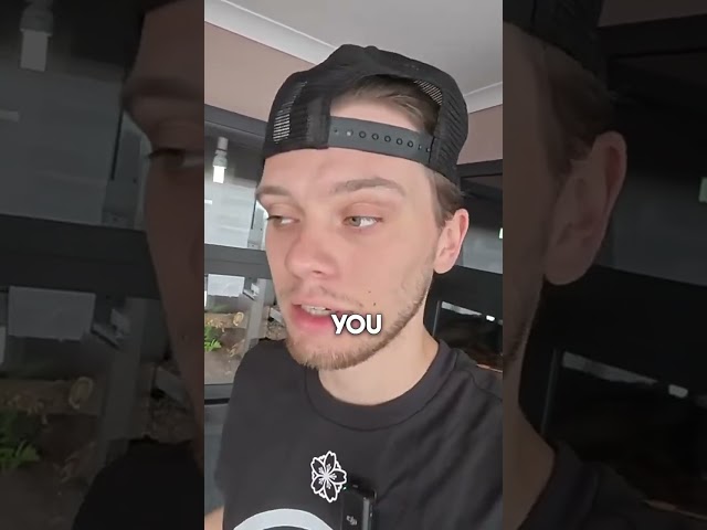 Arts meets snakes at @Side-BCollection