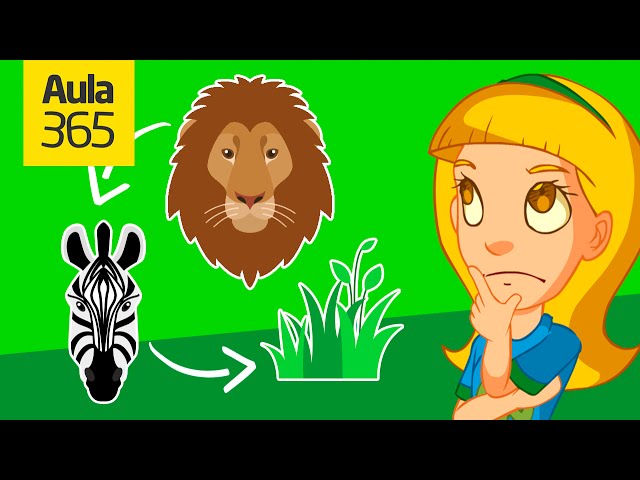 ¿Qué es la Cadena Alimenticia? | Videos Educativos Aula365
