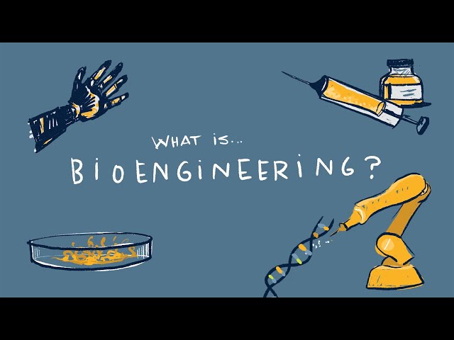 Girls in Engineering: Bioengineering