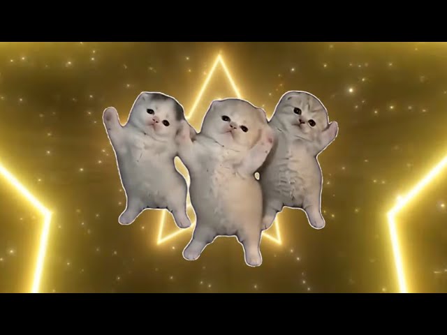 Cats Dancing - Cool ( That Or That) (Best Part Looped + Viral Version)
