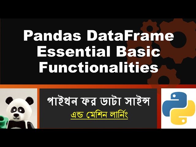 Python Data Science Bangla Tutorial 👉 6: Pandas DataFrame Essential Basic Functionalities