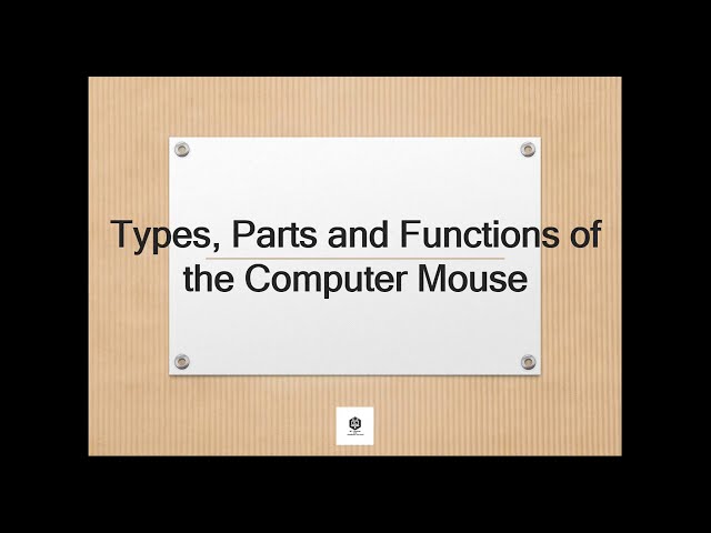 Types, Parts and Functions of the Computer Mouse