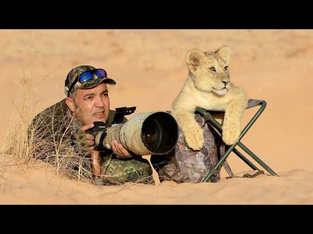 When Animals Surprised Photographers in an Unexpected Way 🤪