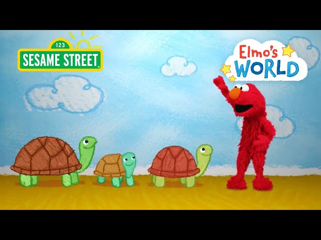 Sesame Street: Elmo Learns About Turtles! | Elmo’s World