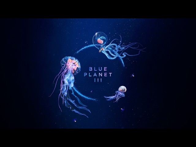 Blue Planet III First Look Trailer | Featuring JADE & Hans Zimmer | BBC Earth