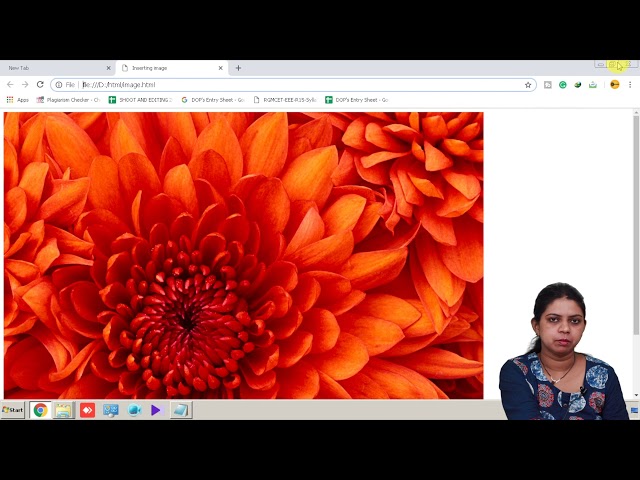Inserting A Image Into Page Image Tag - HTML - Computer Science Class 12