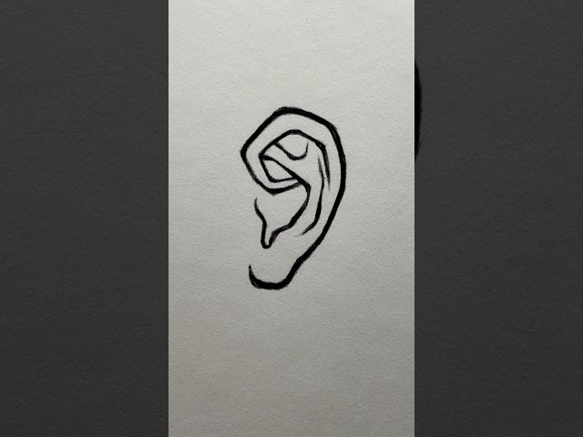 How to Draw an Ear ⭐️Tutorial⭐️ #howtodraw #tutorial #draw #drawing #sketch #sketching #art #artist