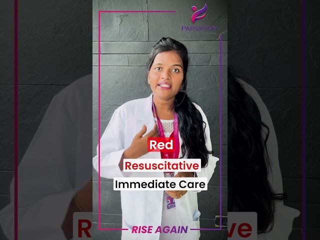 Emergency Triage Colour Codes Explained : Your Quick Guide