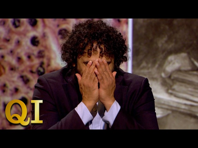 What's The Point In Half A Vasectomy? | QI