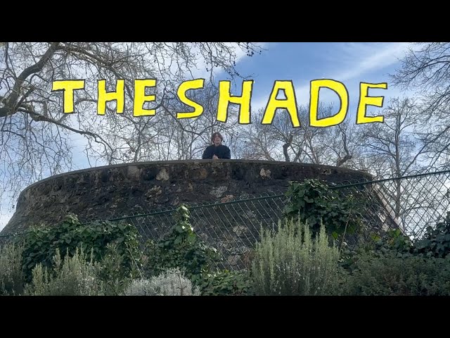 Rex Orange County - THE SHADE (Music Video) V1