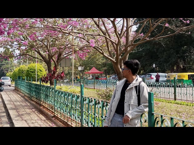 Visiting My IGNOU Study Center in Bangalore | What to Expect?
