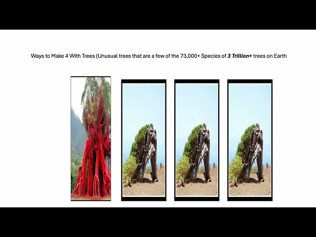 Fun With Numbers by Adding Ways to Make 4 With Trees (Unusual Trees) - 4 videos #2