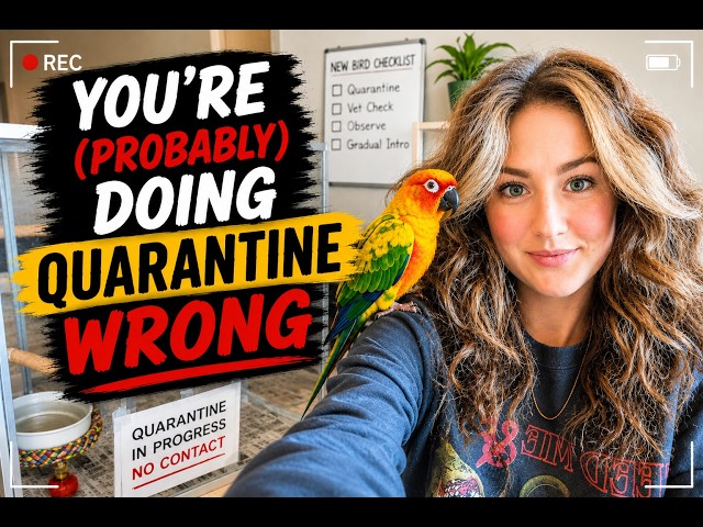 The Only Quarantine Video You Need | What to Know Before You Bring Your Bird Home