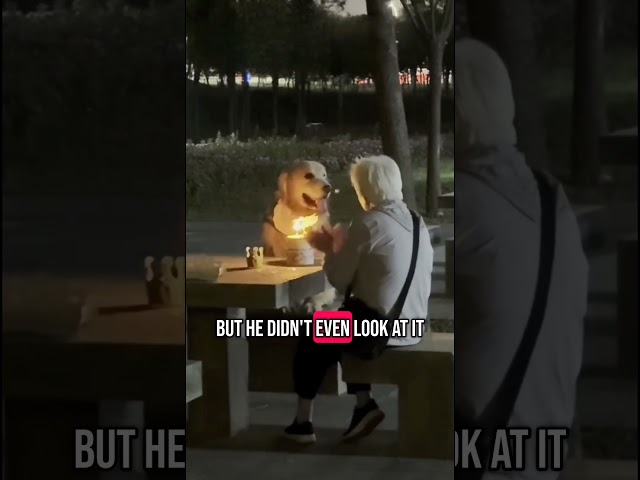 The Cake Was Never What He Wanted