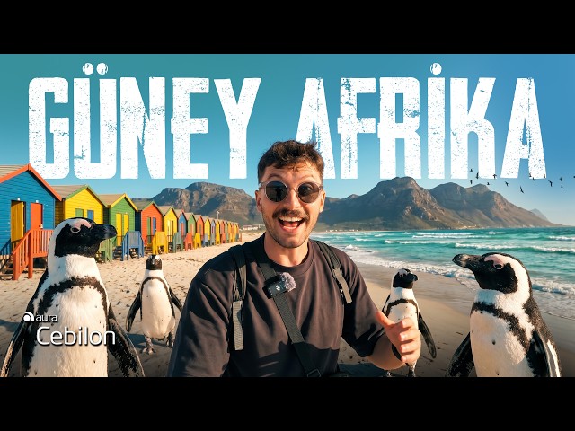 I'VE ARRIVED IN SOUTH AFRICA! WHAT HAPPENED IN CAPE TOWN ON THE FIRST DAY 🇿🇦