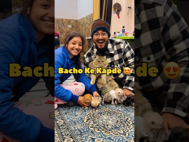 Bacho Ke Kapde Ban Gaye 😍 #shorts #vlog #minivlog #kitten