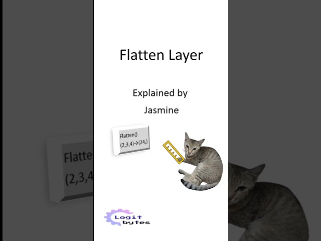 flatten layer in neural network ft. Jasmine the Cat