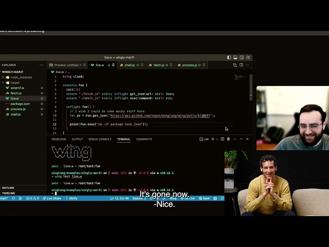 Using Javascript Code in Wing Using “extern”