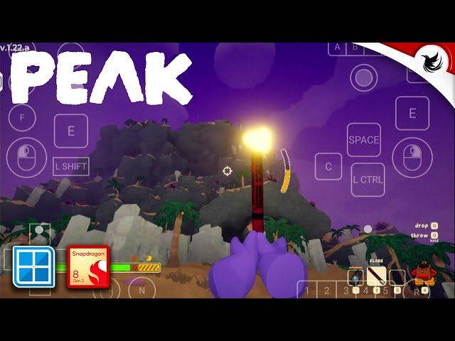 "PEAK" tested on Android Winlator with Snapdragon 8 gen 3 Settings