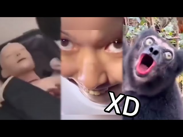 😂 VIDEO MEMES RANDOM XD #54, Si Te Ries Pierdes, Videos De Risa, Funny Tiktok, Try Not To Laugh