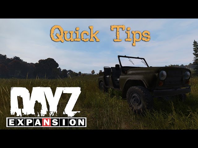 Some Quick Dayz Expansion Tips!