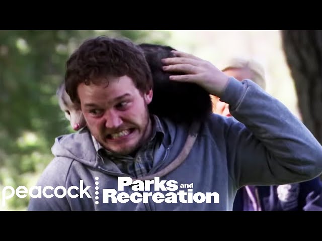 Andy Takes Down Pawnee's Notorious Opossum | Parks and Recreation