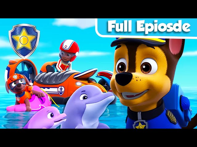 Pups Save A Dophin Pup 🐬🌊 | FULL Episode | Chase Official Channel | PAW Patrol
