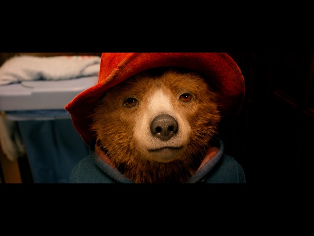 Paddington in lingua corsa, ritagliu 1 - Fiura Mossa