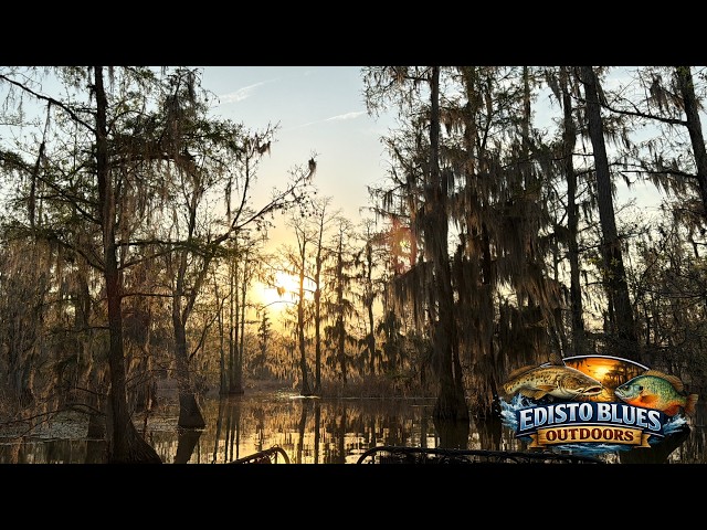 SHELL CRACKER FISHING ON A NEW MOON ON LAKE MARION