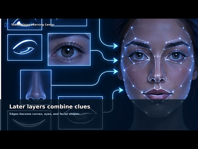 Neural Network Layers and Deep Learning Explained Visually | Lesson 4