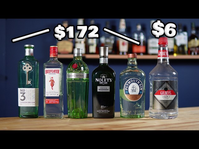 Top Shelf Gins vs a Budget Jug (Blind Taste Test & Ranking)