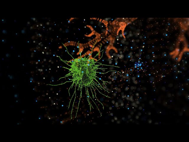 Spatial Mapping – The Future of Personalised Medicine