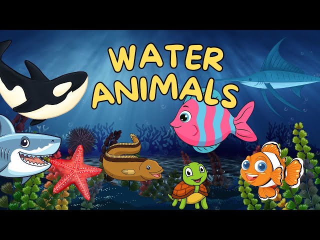🐠🐬Learn Sea Animals Name in Hindi and English | Water, Ocean Animals | Toddlers Educational Video