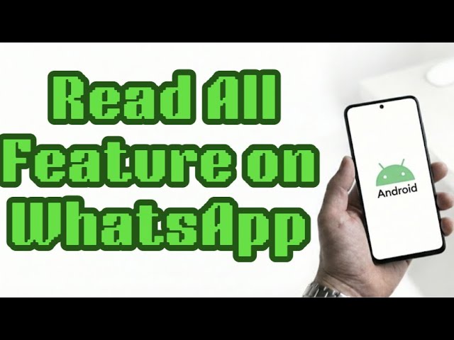 How to Use the "Read All" Feature on WhatsApp Android