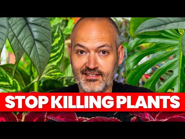 The ULTIMATE Guide To The 10 Most Popular Plants