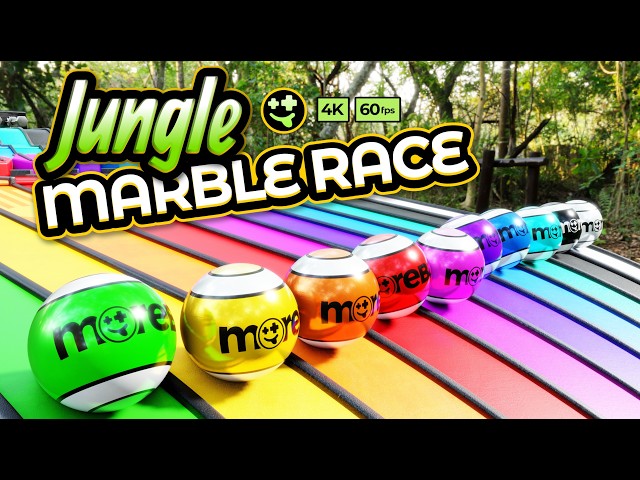 Big Marble Race: Marbles in the Jungle!  | #marbles #marblerace #animation #asmr #sensory #colorful